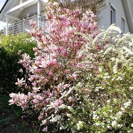 Gaestezimmer Ahornweg Villingendorf ภายนอก รูปภาพ