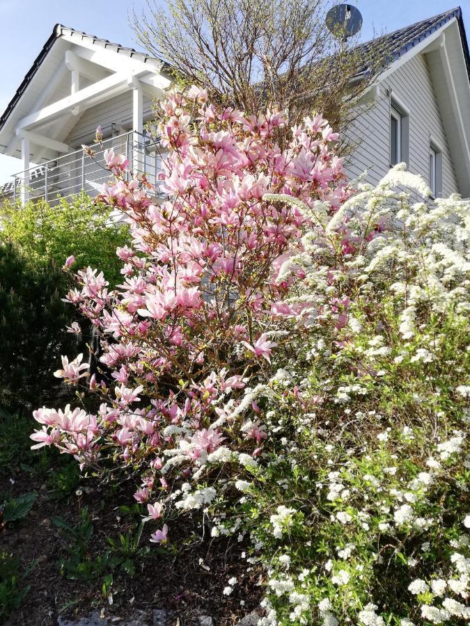 Gaestezimmer Ahornweg Villingendorf ภายนอก รูปภาพ